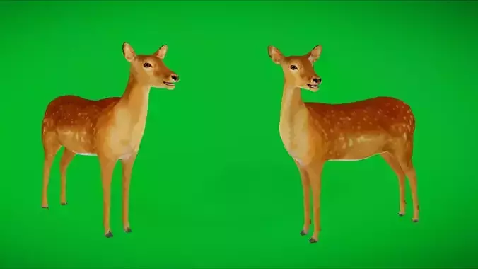 Female Fallow Deer Low-poly 3D model Female Fallow Deer Low-poly 3D model