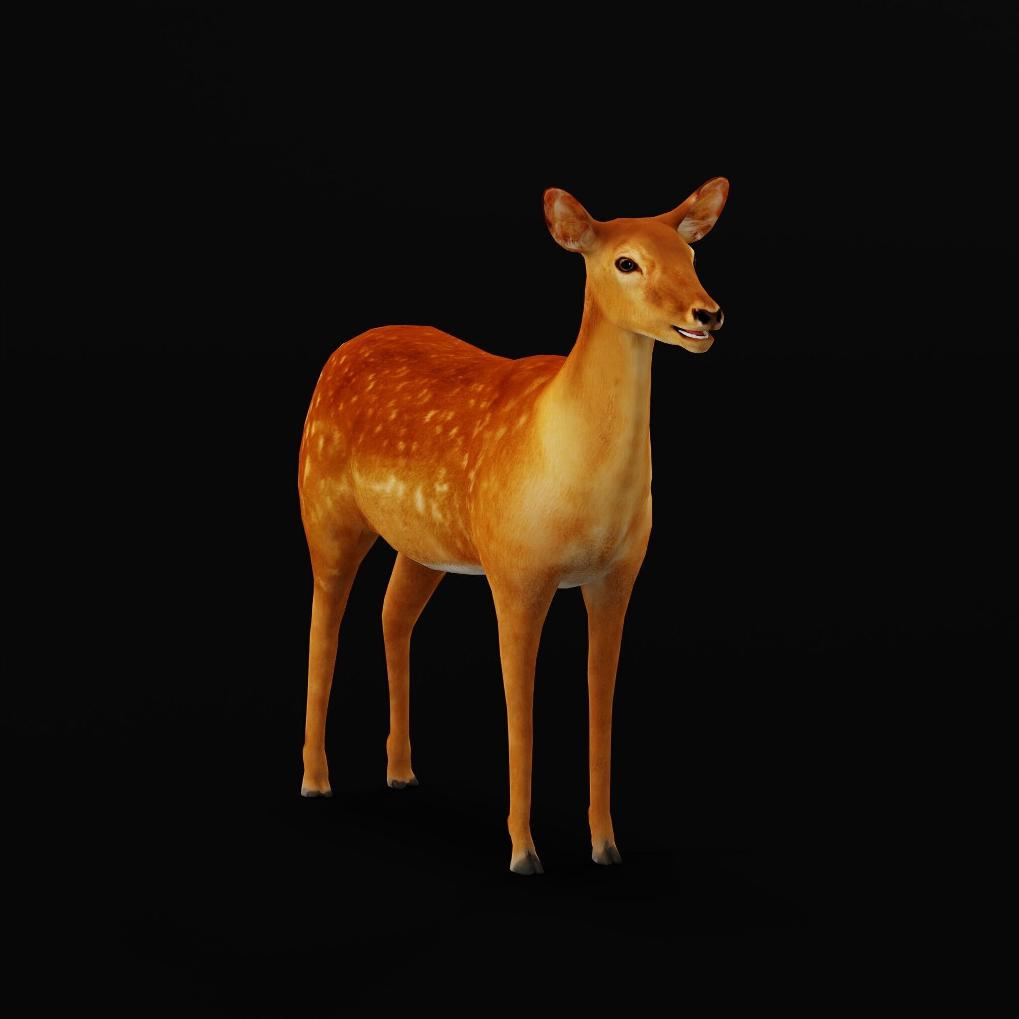 Female Fallow Deer Low-poly 3D model_42