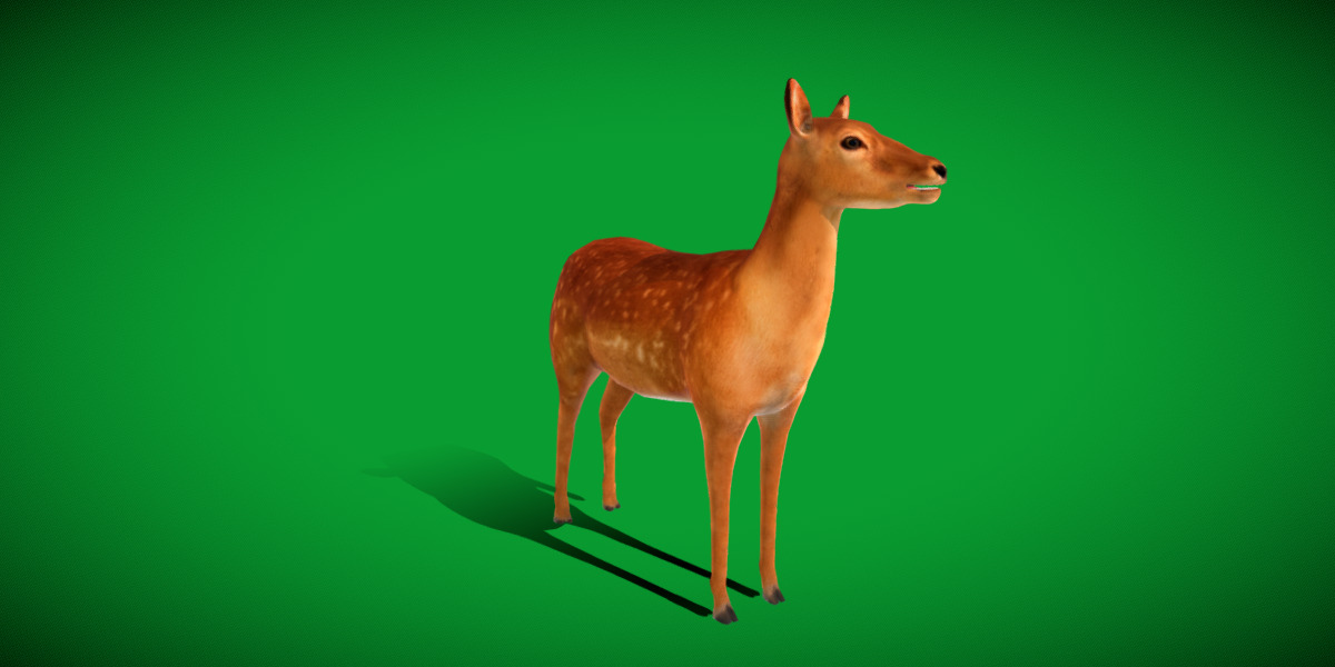 Female Fallow Deer Low-poly 3D model_34