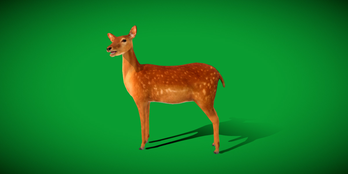 Female Fallow Deer Low-poly 3D model_28