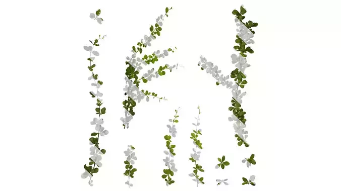 Anydrafts Berberis thunbergii Atlas 05 Texture