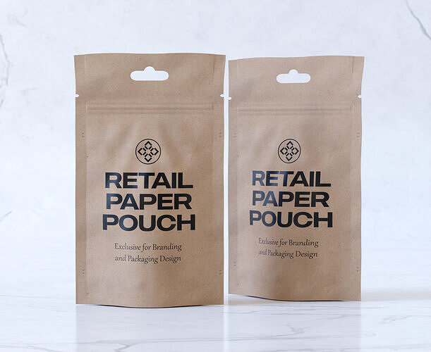 Retail Paper Pouch Packaging 3D model