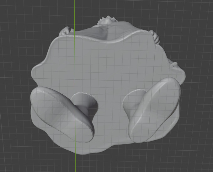 Jane Austen 3D print model_10