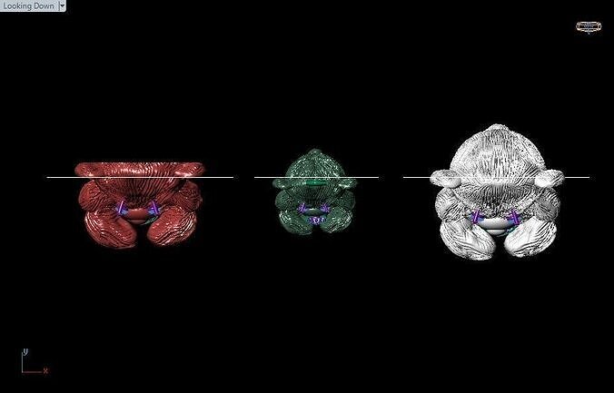 TEDDY BEAR PENDENT 3D print model