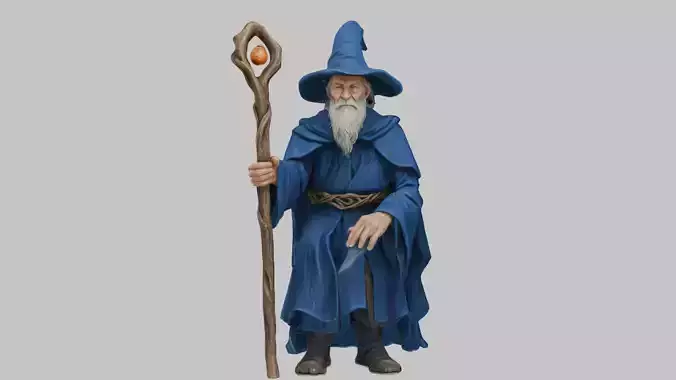 The Wise Enchanter