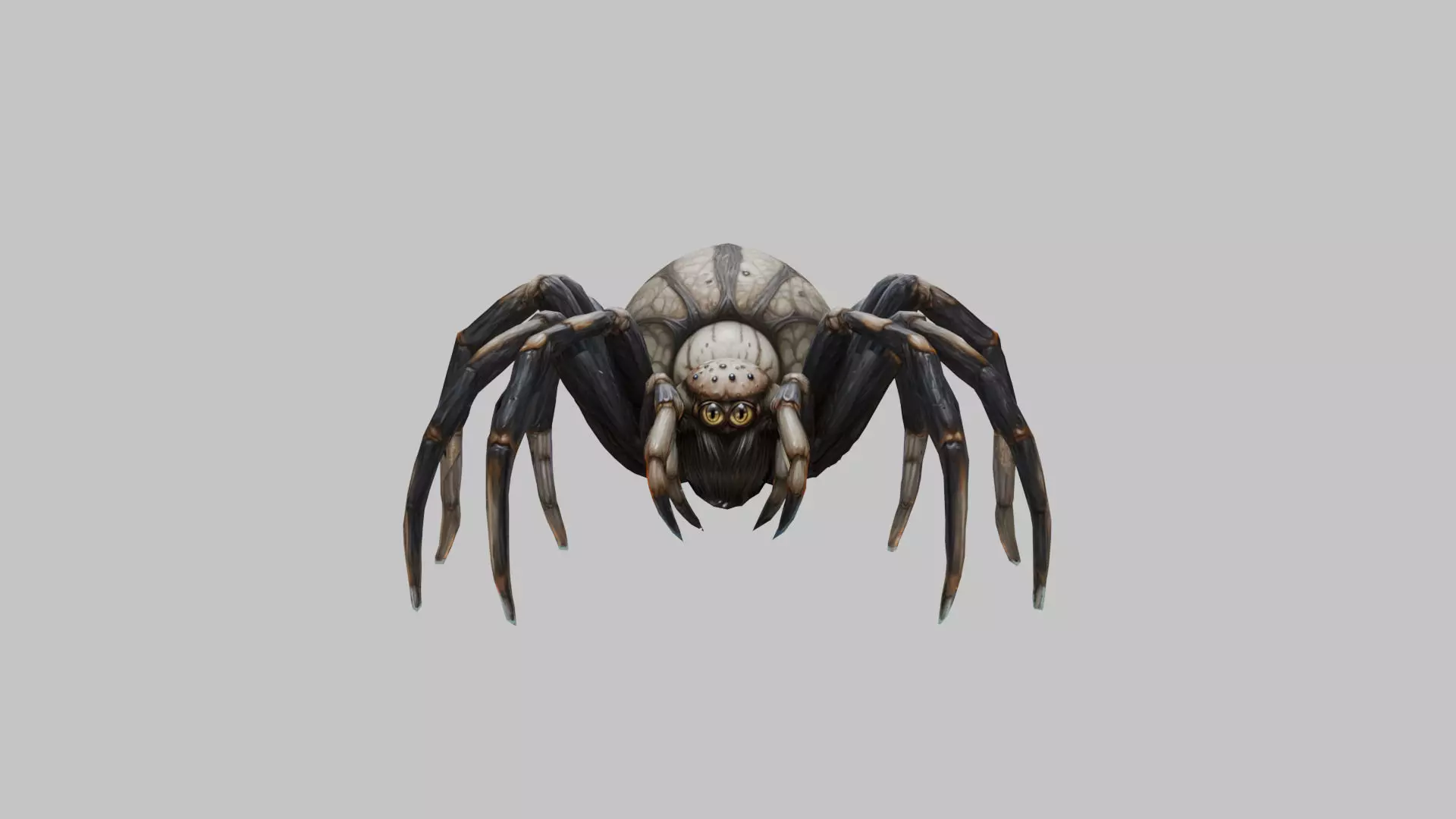 Jumping Spider Low-poly 3D model_0