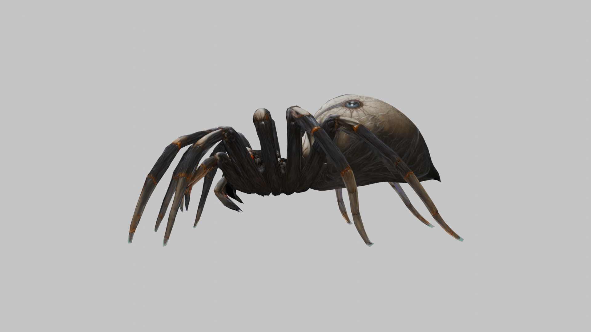 Jumping Spider Low-poly 3D model_6