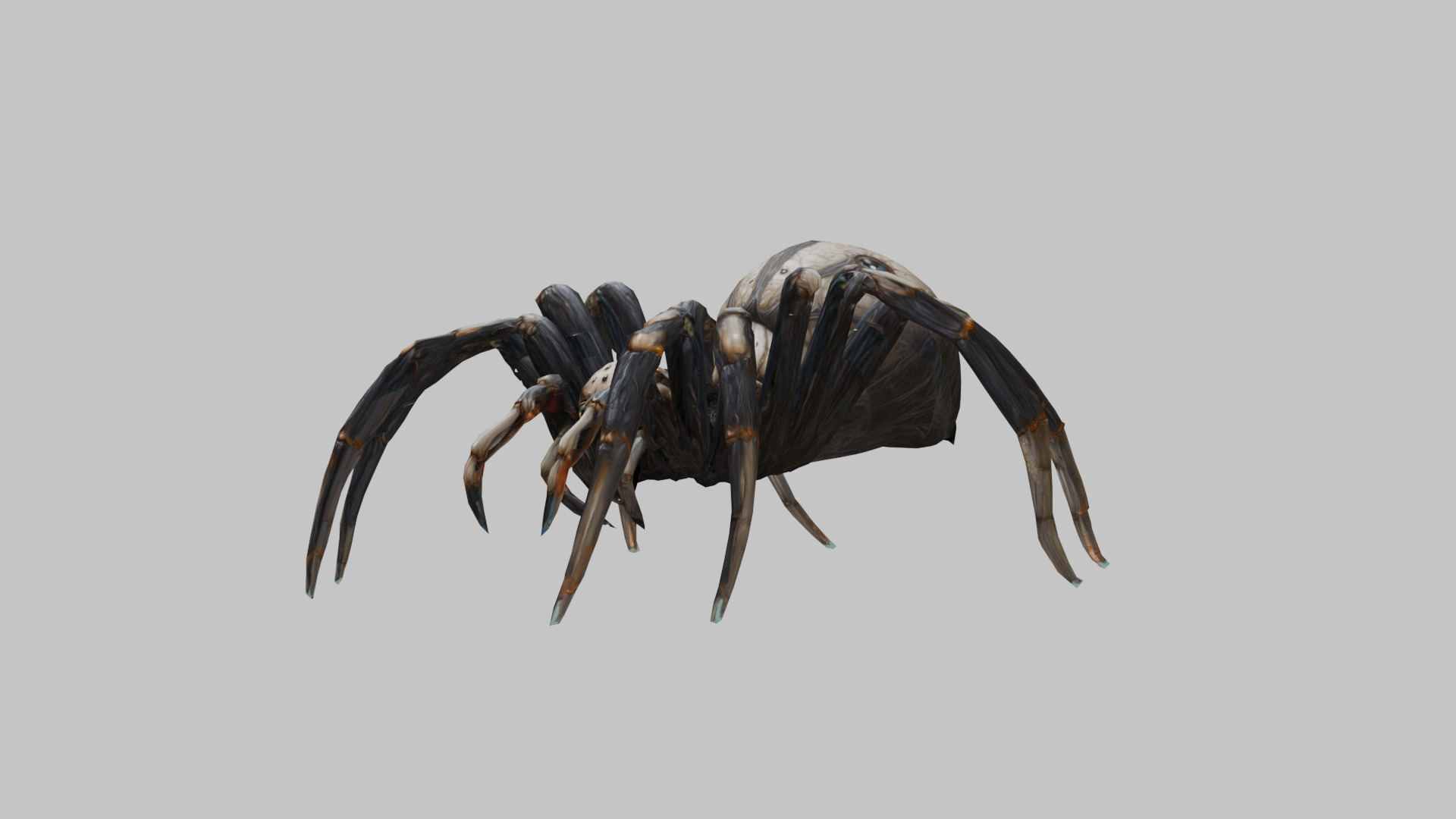 Jumping Spider Low-poly 3D model_7