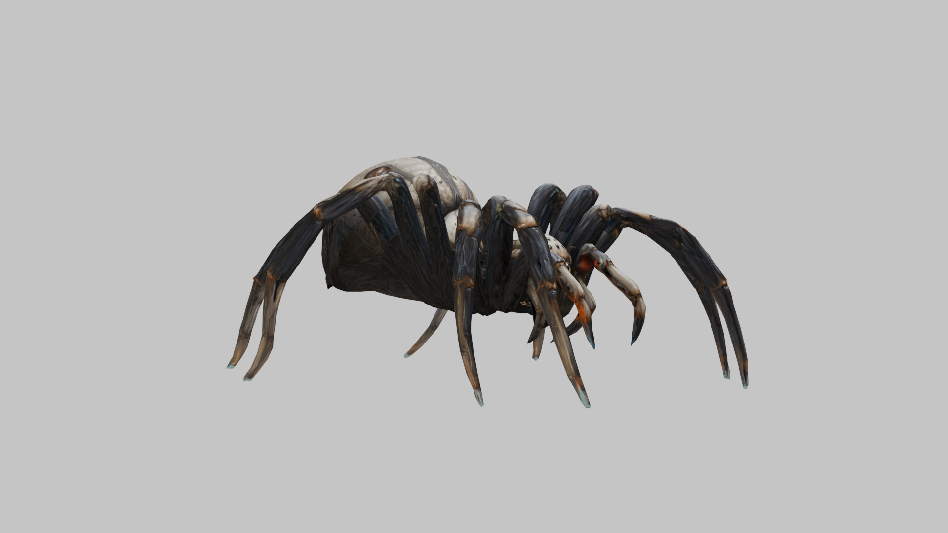 Jumping Spider Low-poly 3D model_1