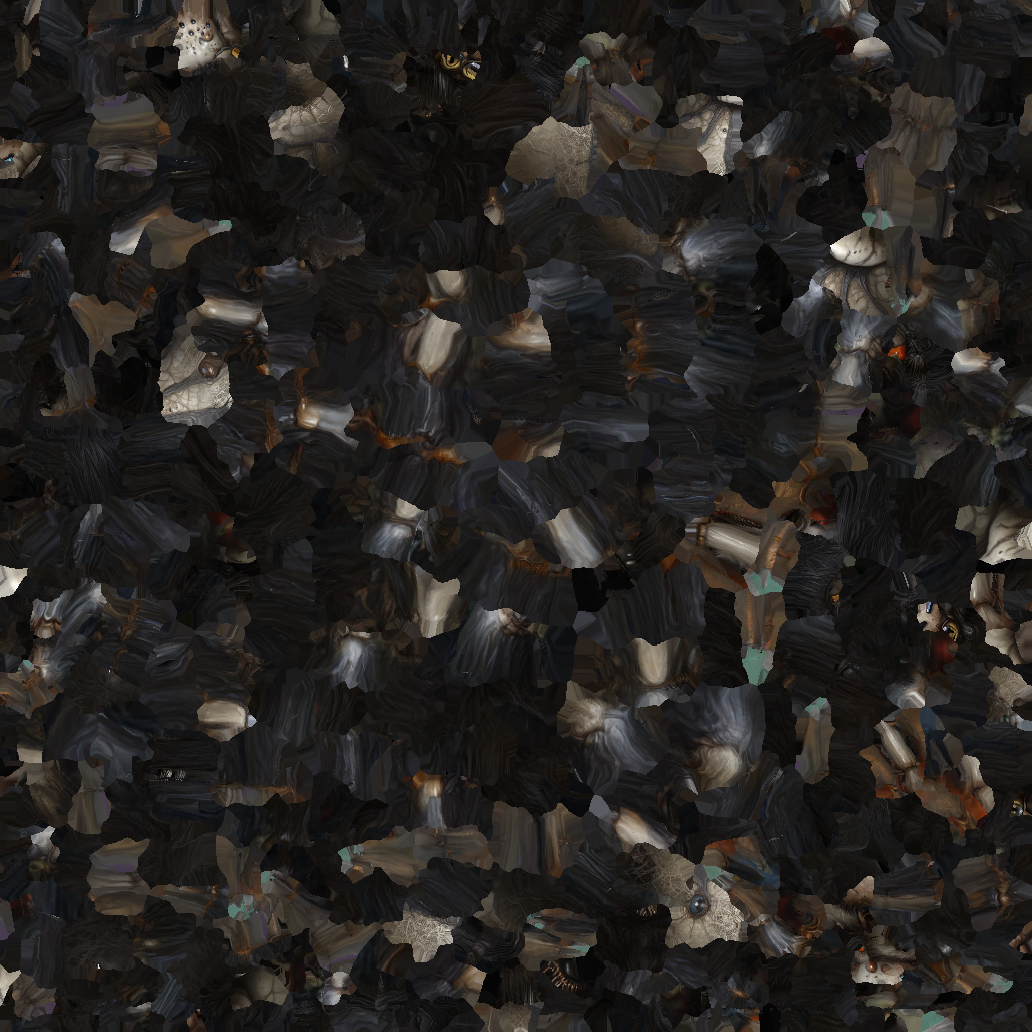 Jumping Spider Low-poly 3D model_9