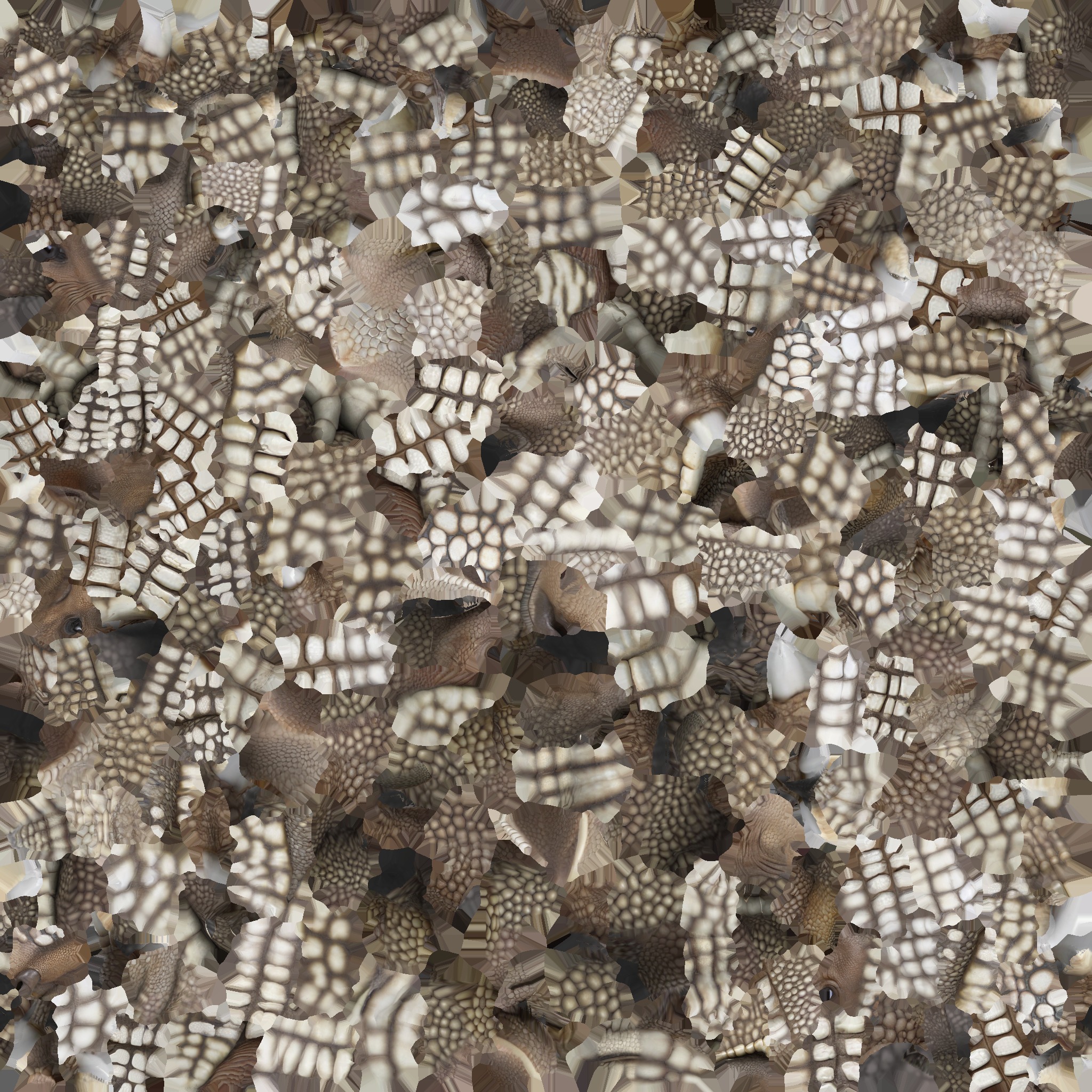 Low Poly Armadillo Low-poly 3D model_8