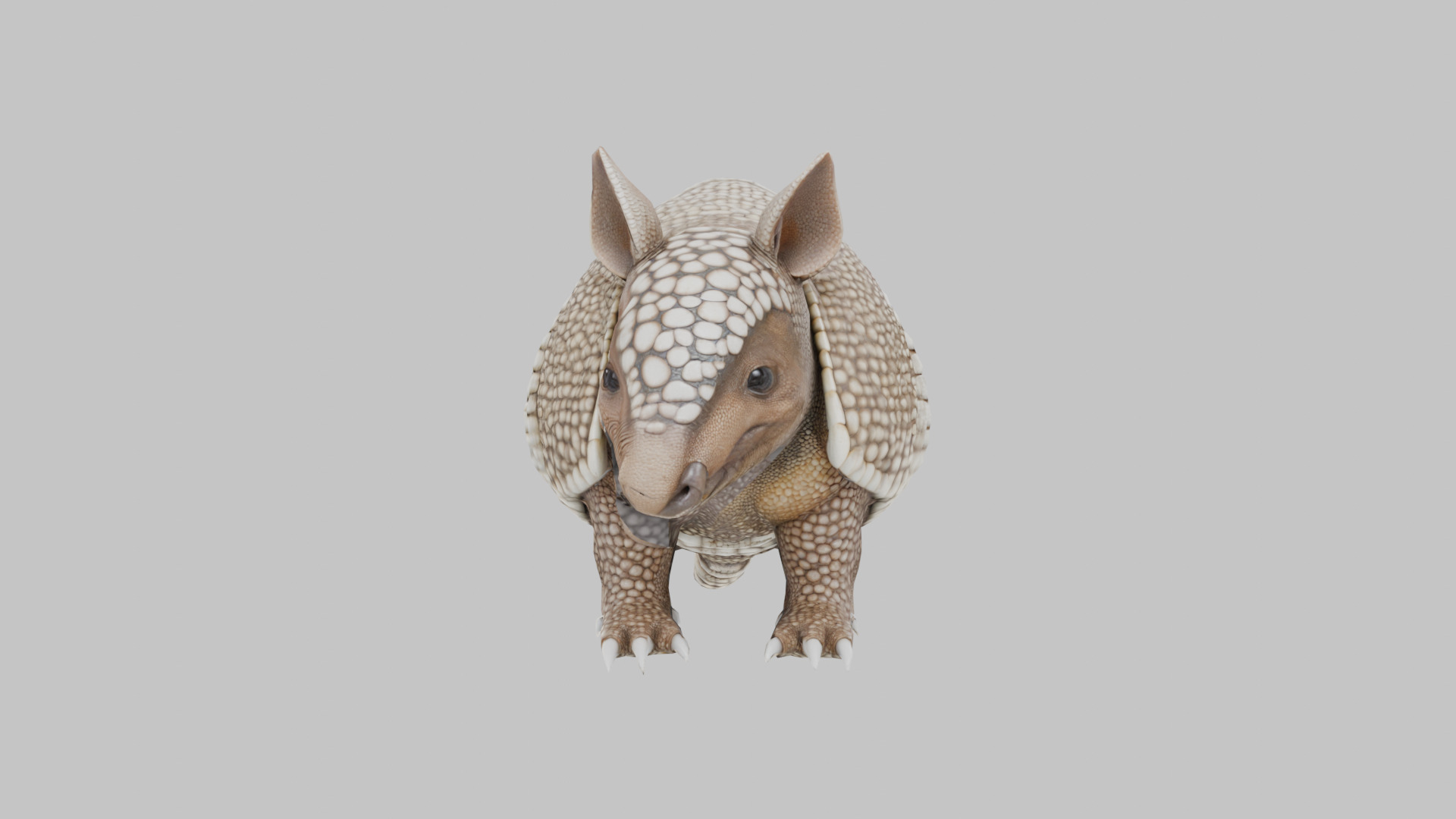 Low Poly Armadillo Low-poly 3D model_1