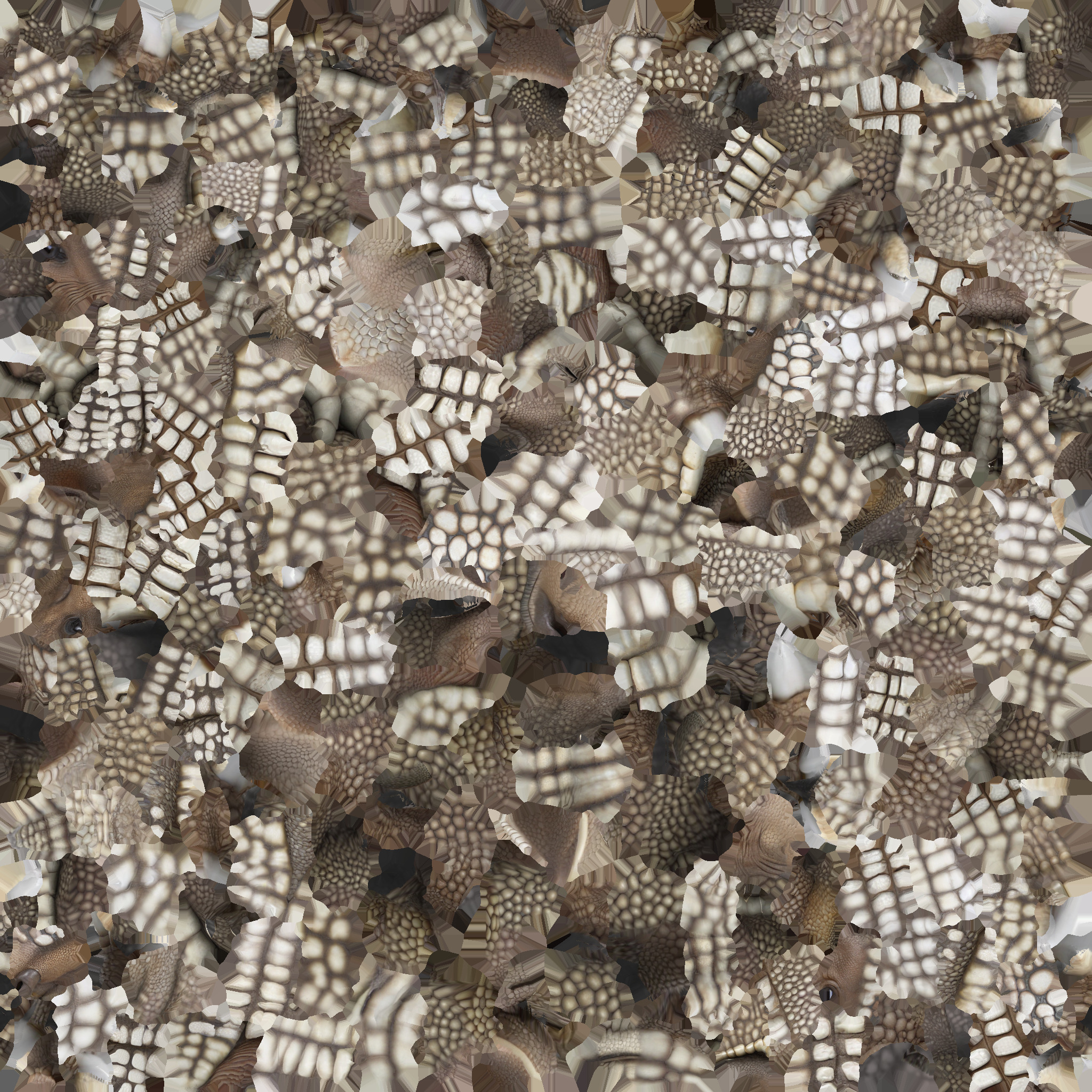 Low Poly Armadillo Low-poly 3D model_9