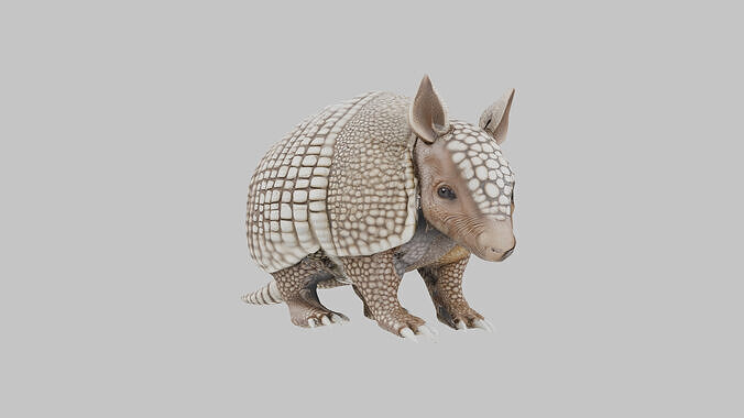 Low Poly Armadillo Low-poly 3D model