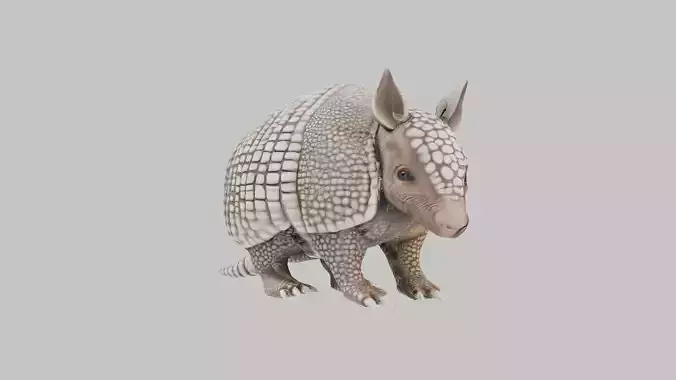 Low Poly Armadillo