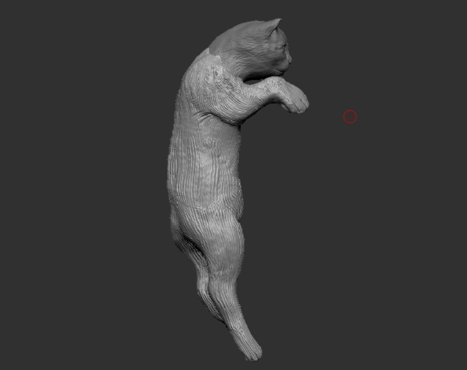 cat model 3D print model_4