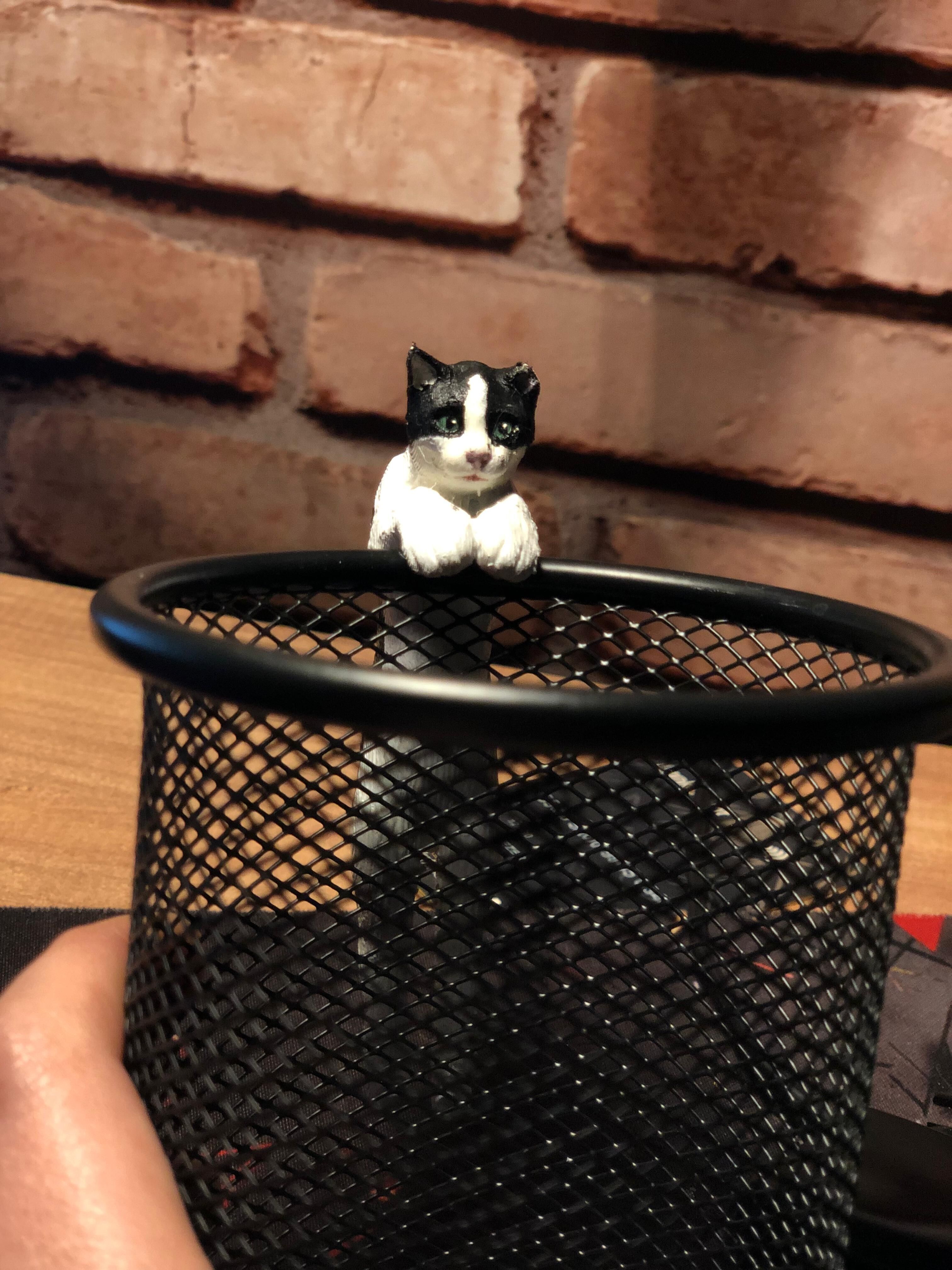 cat model 3D print model_1