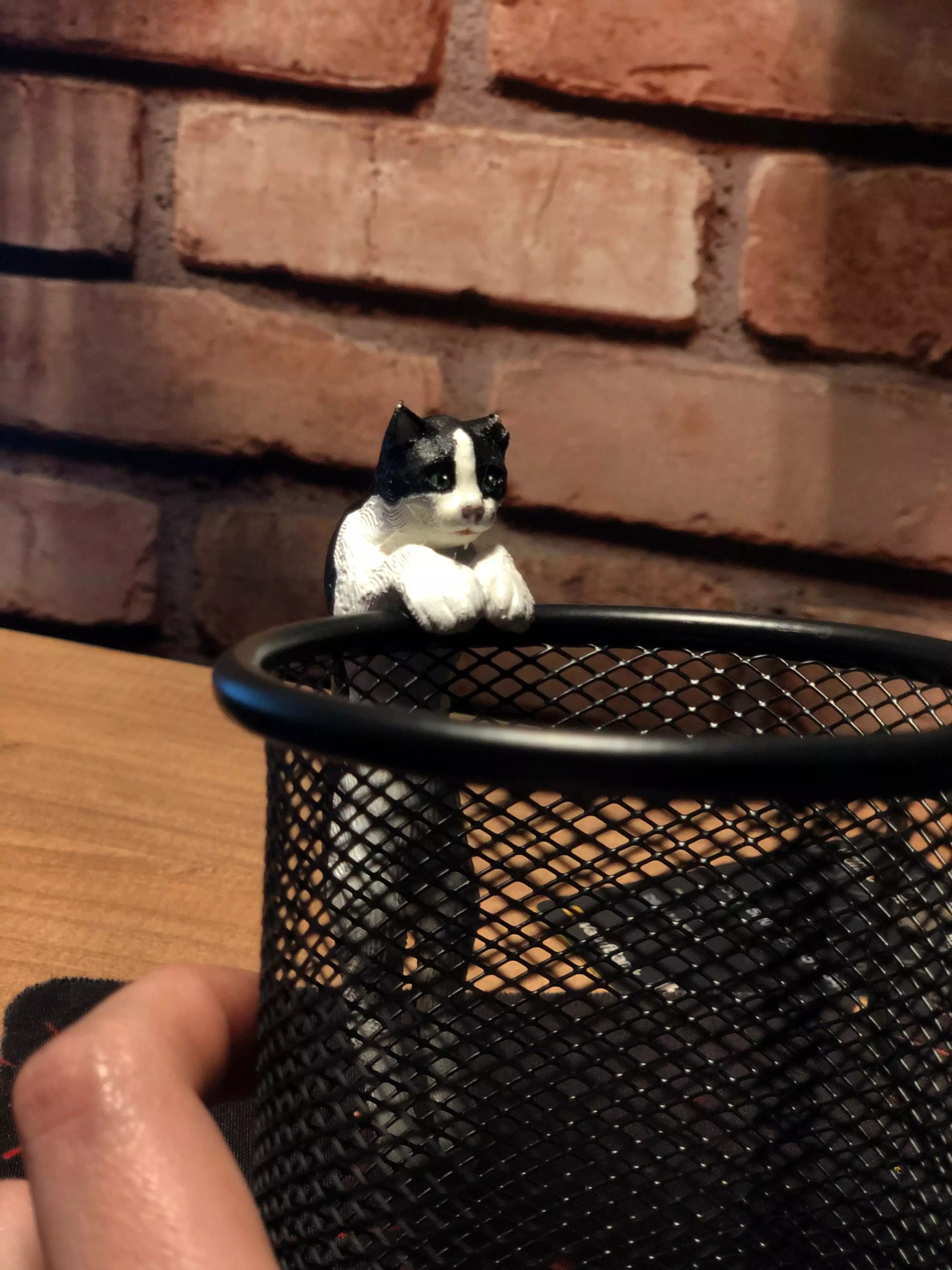 cat model 3D print model_0