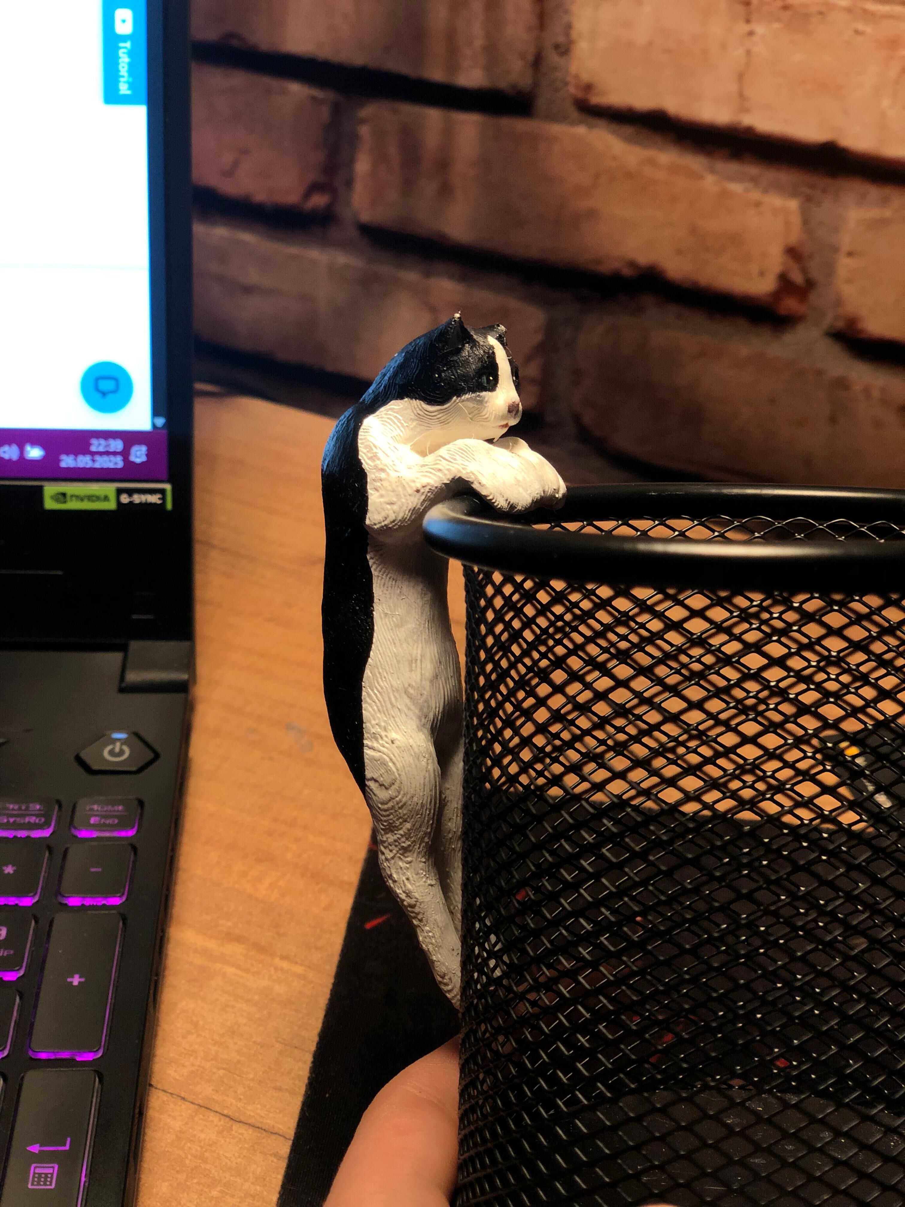 cat model 3D print model_2