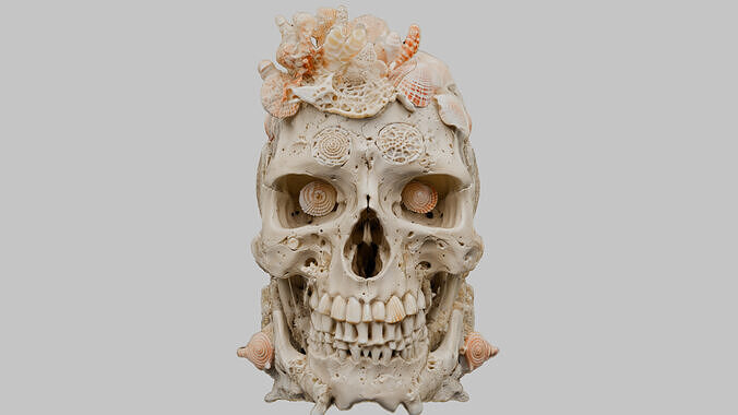 Coral Skull Human Bones Low-poly 3D model