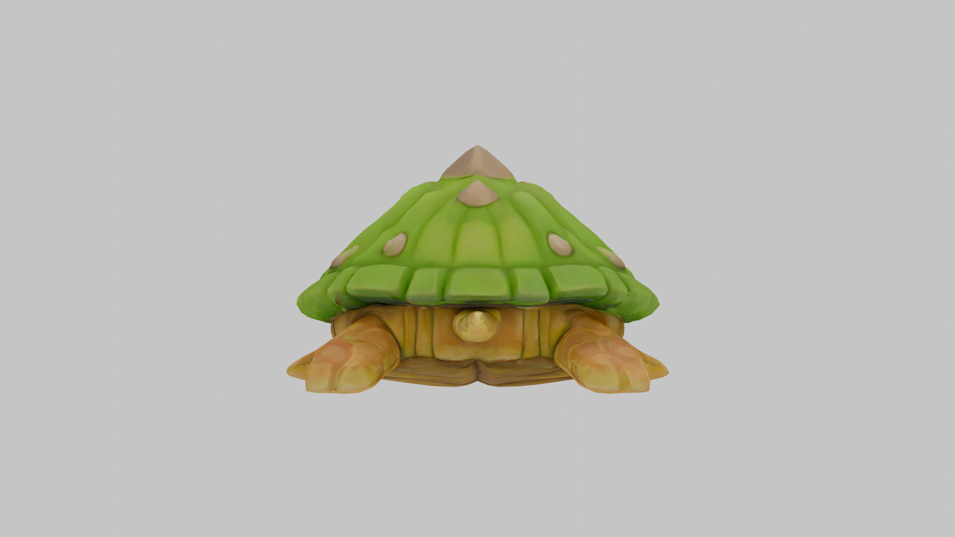 Island Turtle Low-poly 3D model_4