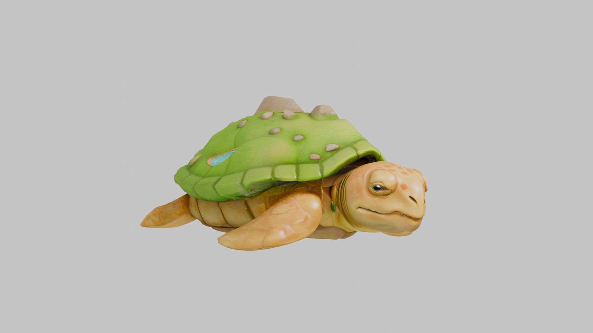 Island Turtle Low-poly 3D model_1