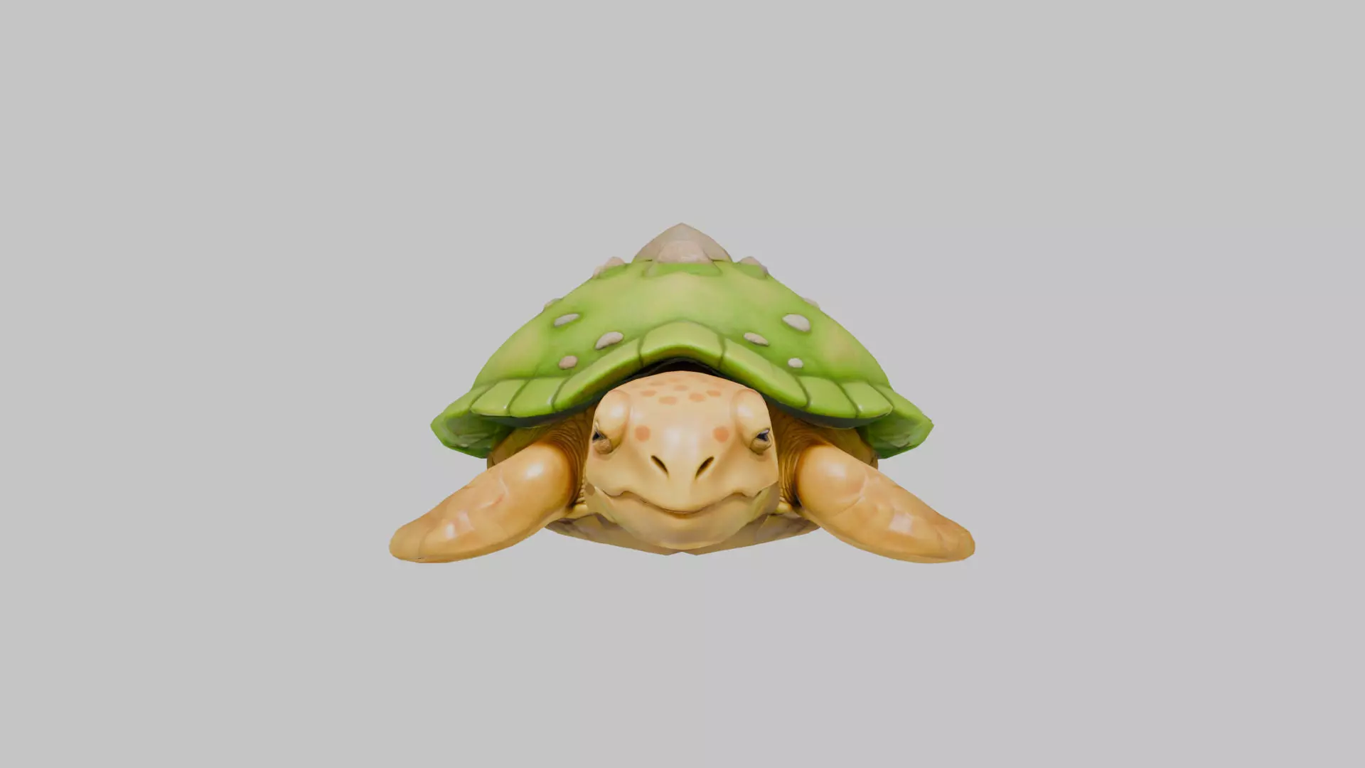 Island Turtle Low-poly 3D model_0