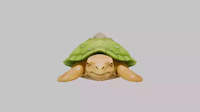 Island Turtle