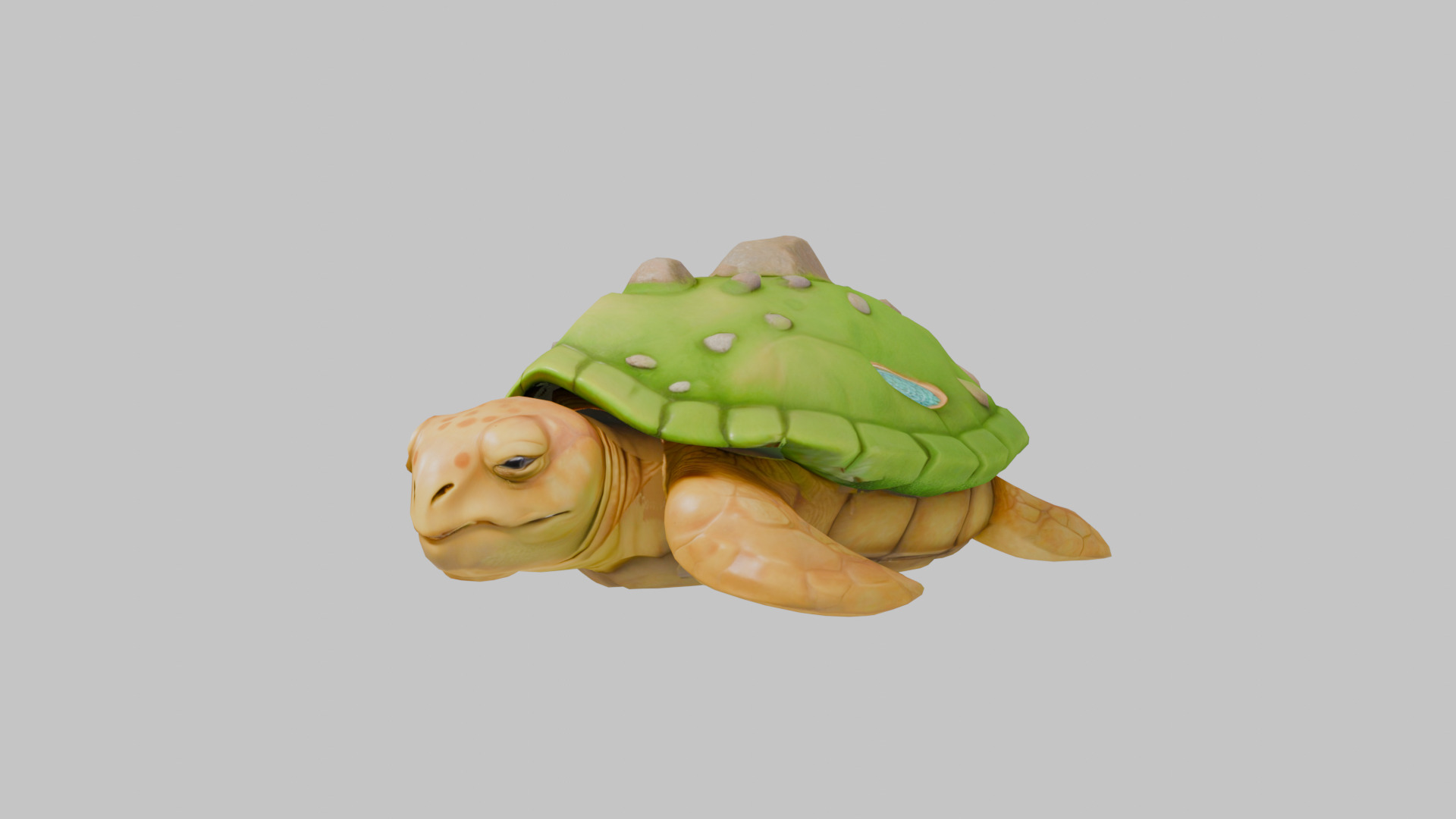 Island Turtle Low-poly 3D model_7