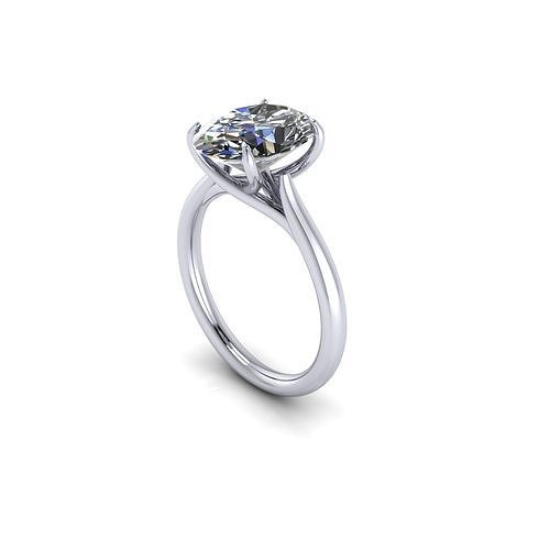 Wedding Ring Variation V5 3D print model