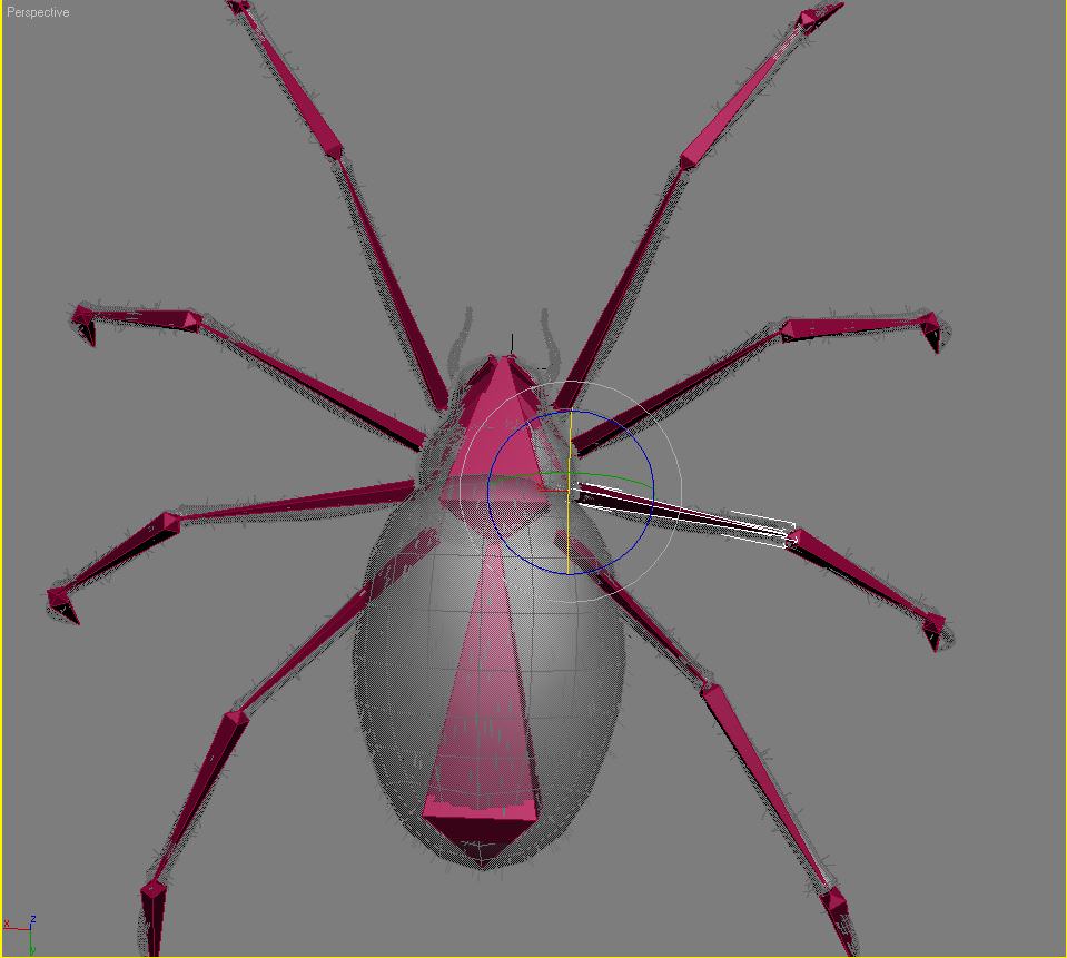 Spider Tiger Rigged Low-poly 3D model_6