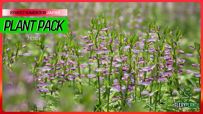 Street Garden in JAPAN - 4 Hosta Flower Grass Plant Low-poly 3D model