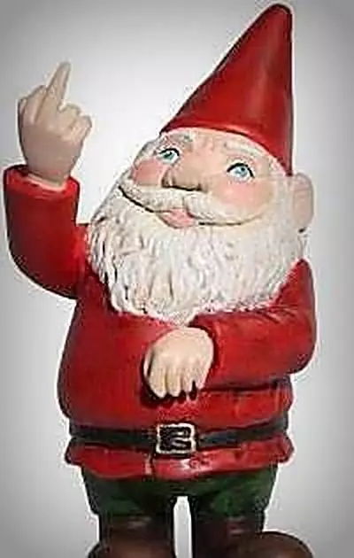 Project X - gnomo - proyecto x  3D print model_0