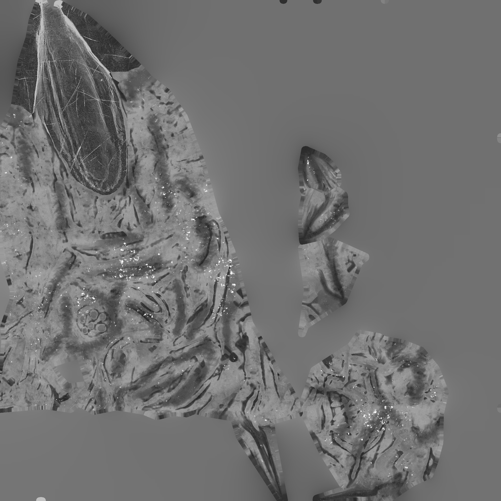 Sukuna Finger - Game Ready Low-poly 3D model_7