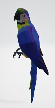 Macaw - low poly Low-poly 3D model_4