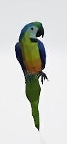 Macaw - low poly Low-poly 3D model