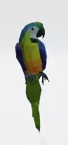 Macaw - low poly Low-poly 3D model_0