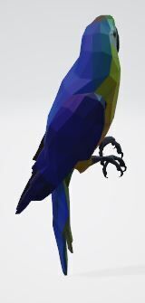 Macaw - low poly Low-poly 3D model_6