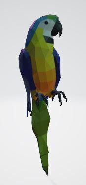 Macaw - low poly Low-poly 3D model_2