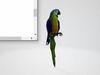Macaw - low poly Low-poly 3D model_1