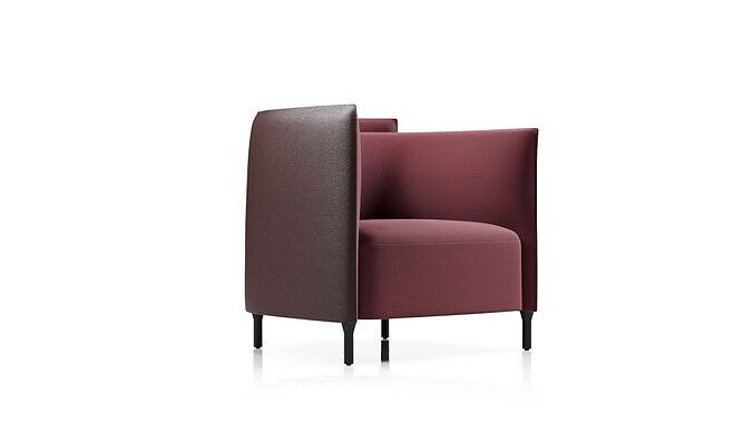 Hemicycle Armchair complete element by ligne roset 3D model