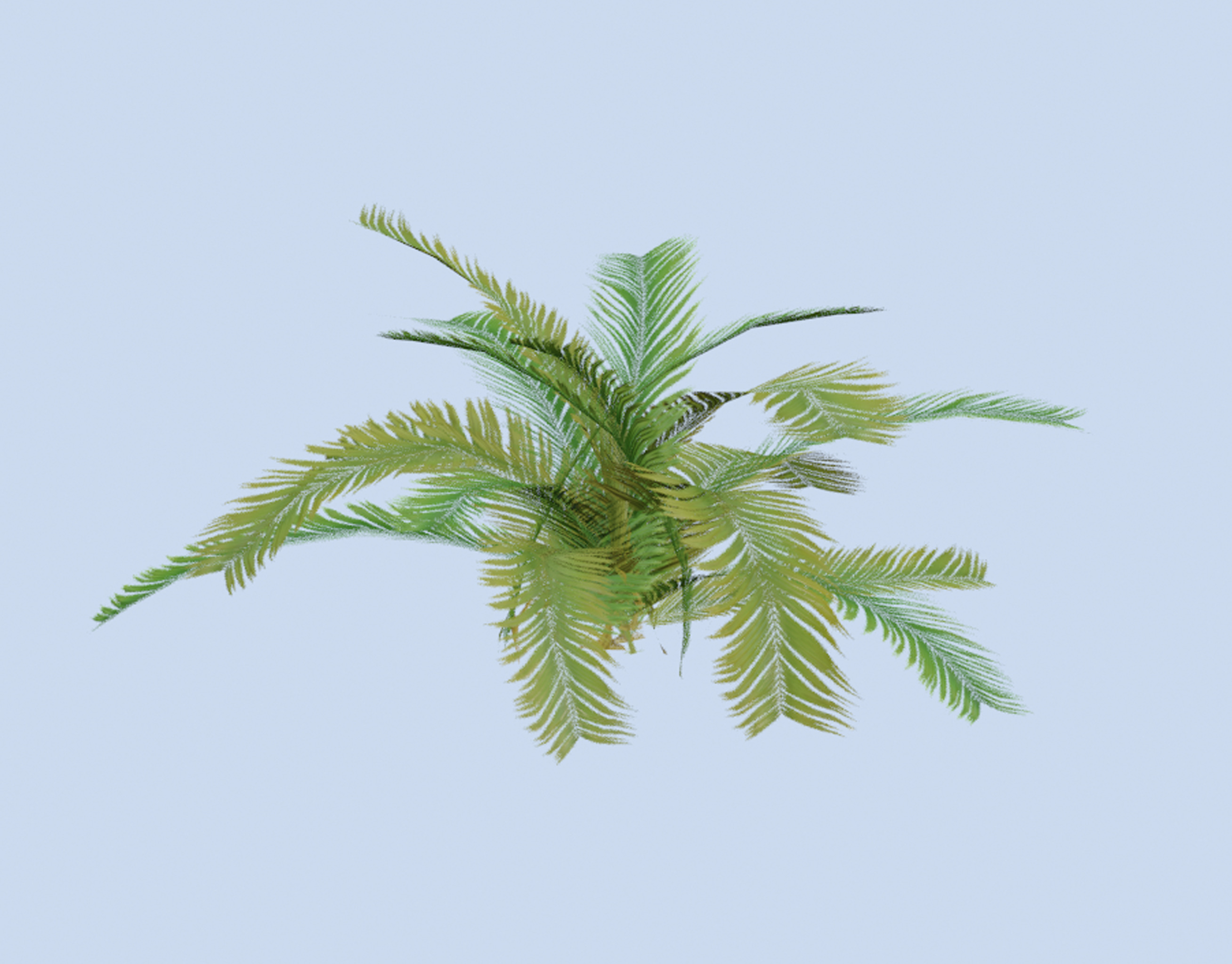 VR PBR ENVIRONMENT ASSET REALISTIC FERN B 3D MODEL Low-poly 3D model_1