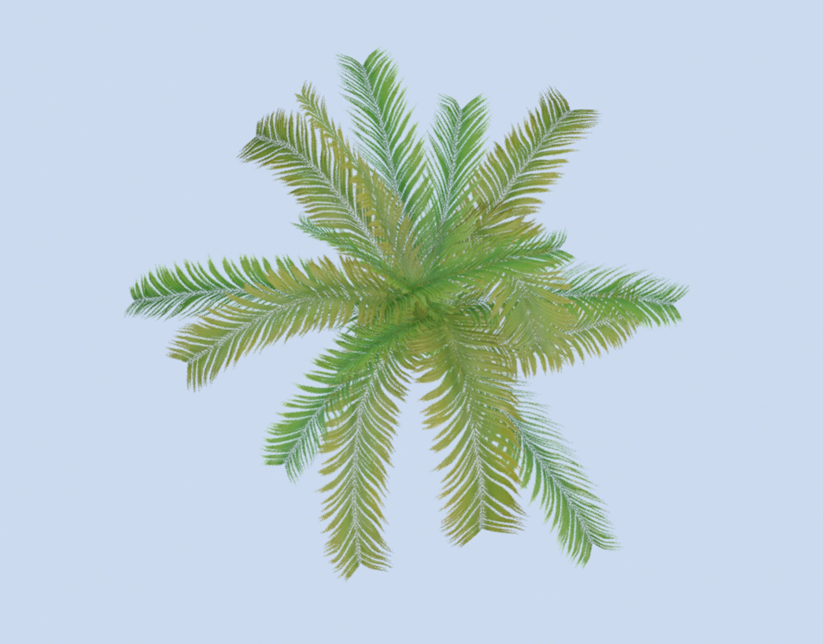 VR PBR ENVIRONMENT ASSET REALISTIC FERN B 3D MODEL Low-poly 3D model_2