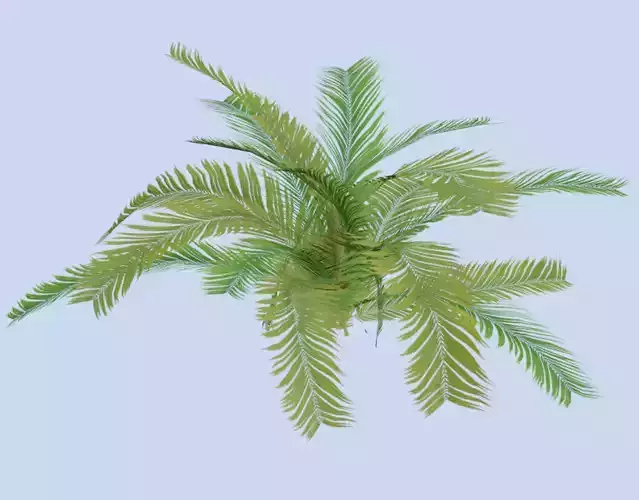 VR PBR ENVIRONMENT ASSET REALISTIC FERN B 3D MODEL