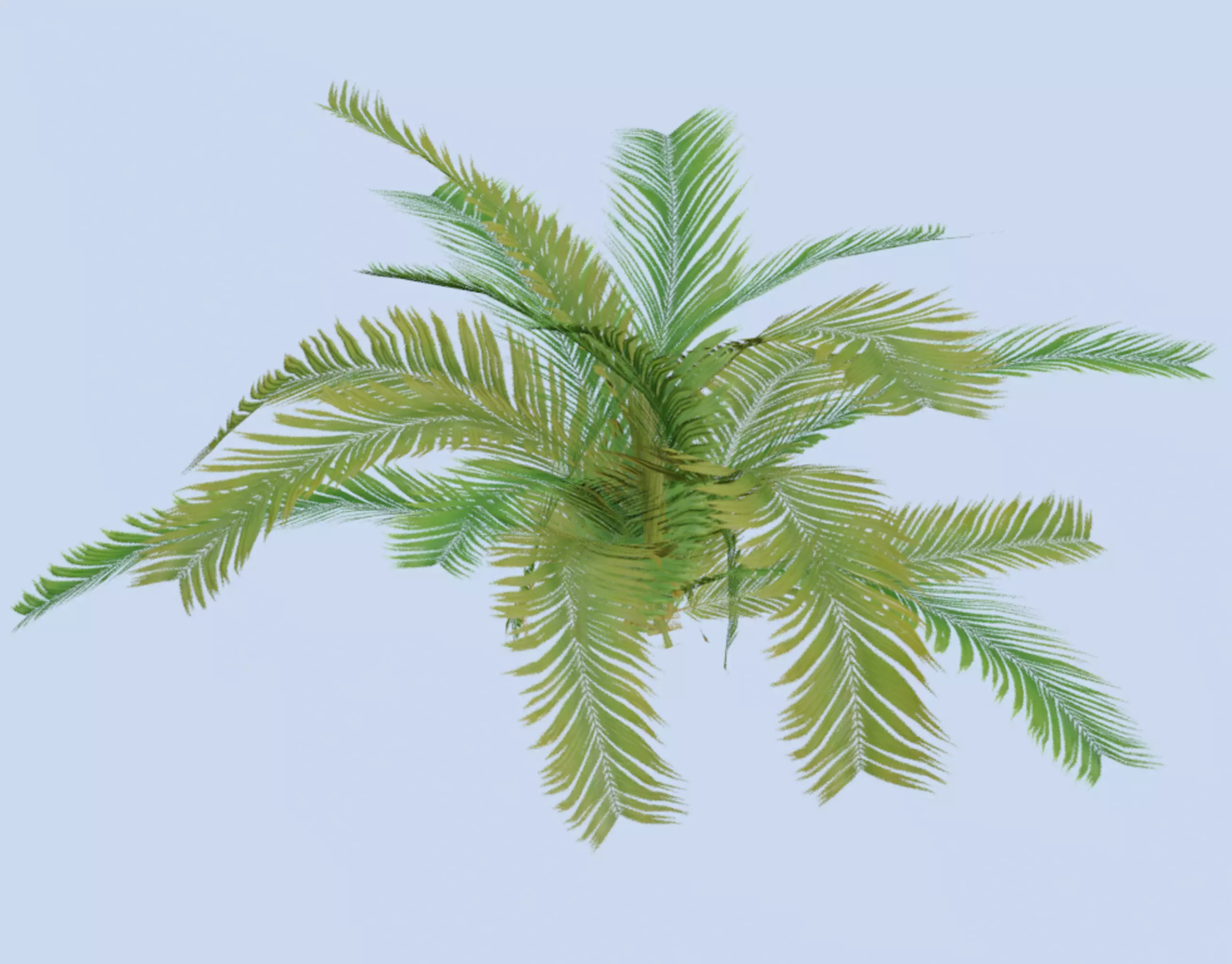 VR PBR ENVIRONMENT ASSET REALISTIC FERN B 3D MODEL Low-poly 3D model_0