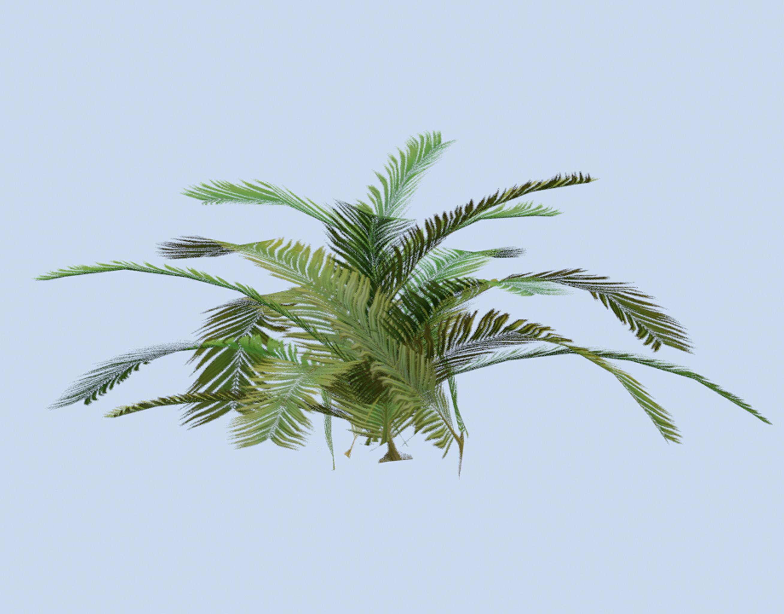 VR PBR ENVIRONMENT ASSET REALISTIC FERN B 3D MODEL Low-poly 3D model_3