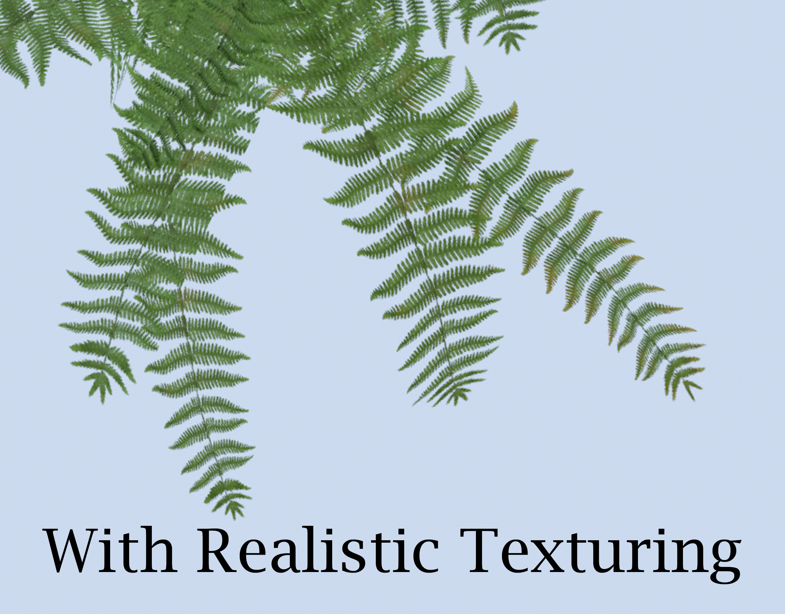 VR PBR ENVIRONMENT ASSET REALISTIC FERN A 3D MODEL Low-poly 3D model_6