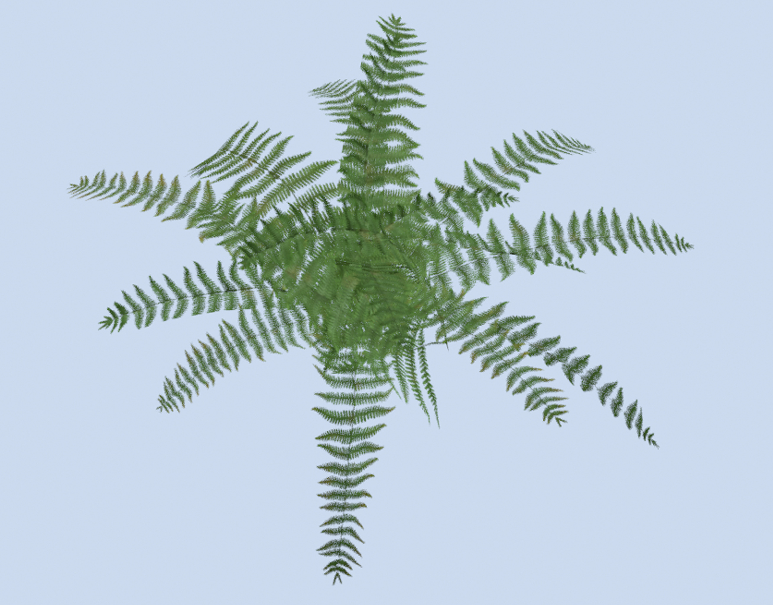 VR PBR ENVIRONMENT ASSET REALISTIC FERN A 3D MODEL Low-poly 3D model_2