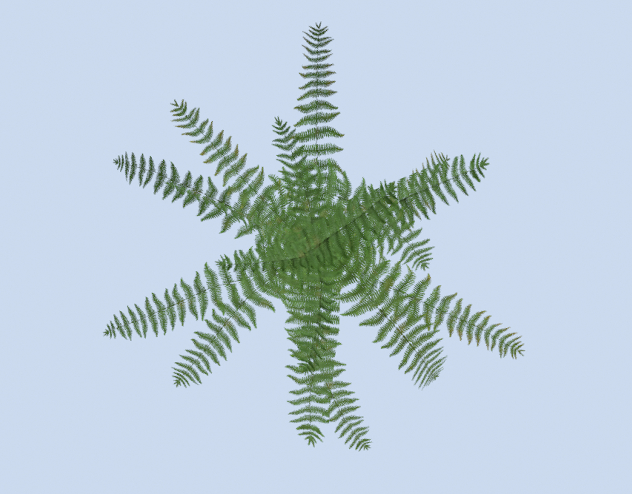 VR PBR ENVIRONMENT ASSET REALISTIC FERN A 3D MODEL Low-poly 3D model_3