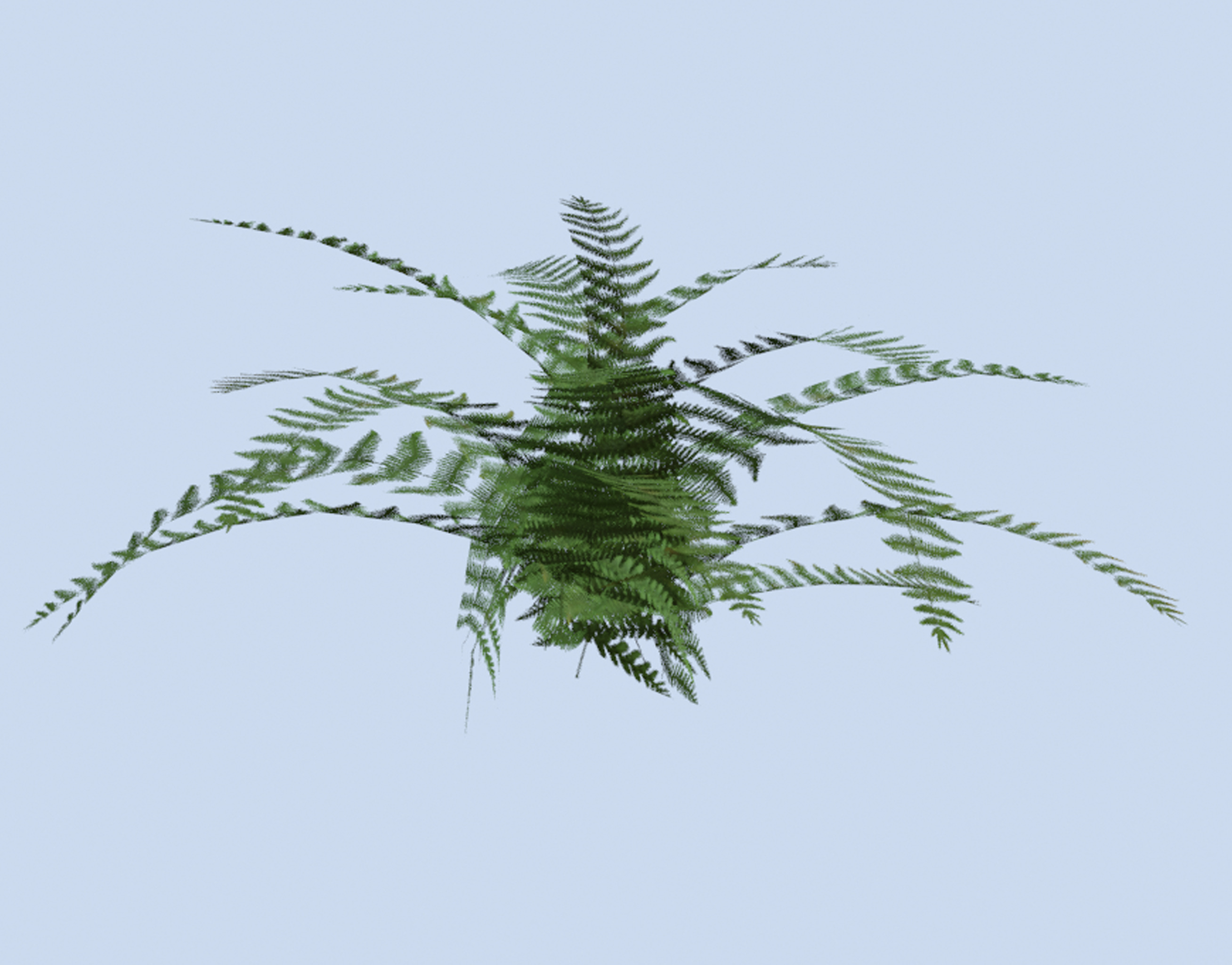VR PBR ENVIRONMENT ASSET REALISTIC FERN A 3D MODEL Low-poly 3D model_1